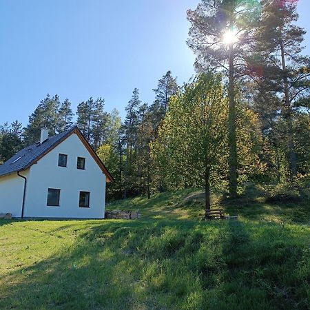 Klidna Lokalita Na Kraji Lesa, Cely Dum S Uschovnu Kol Villa Nová Bystřice Kültér fotó