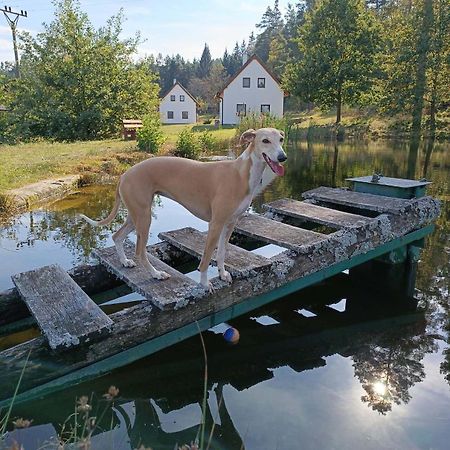 Klidna Lokalita Na Kraji Lesa, Cely Dum S Uschovnu Kol Villa Nová Bystřice Kültér fotó