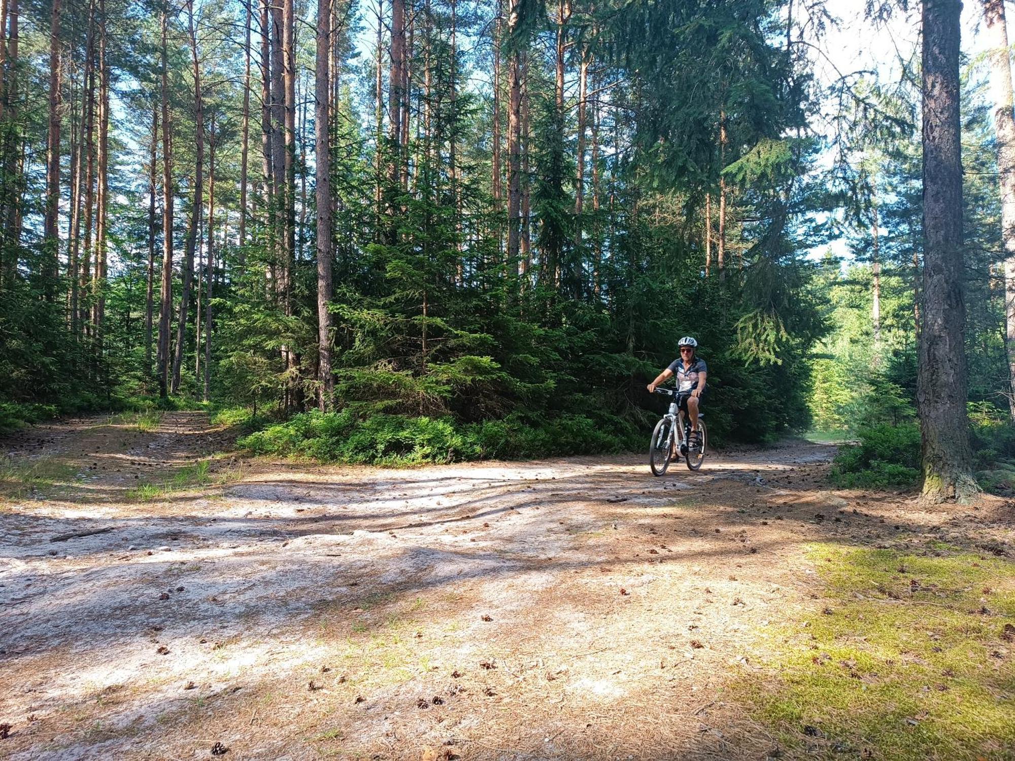 Klidna Lokalita Na Kraji Lesa, Cely Dum S Uschovnu Kol Villa Nová Bystřice Kültér fotó
