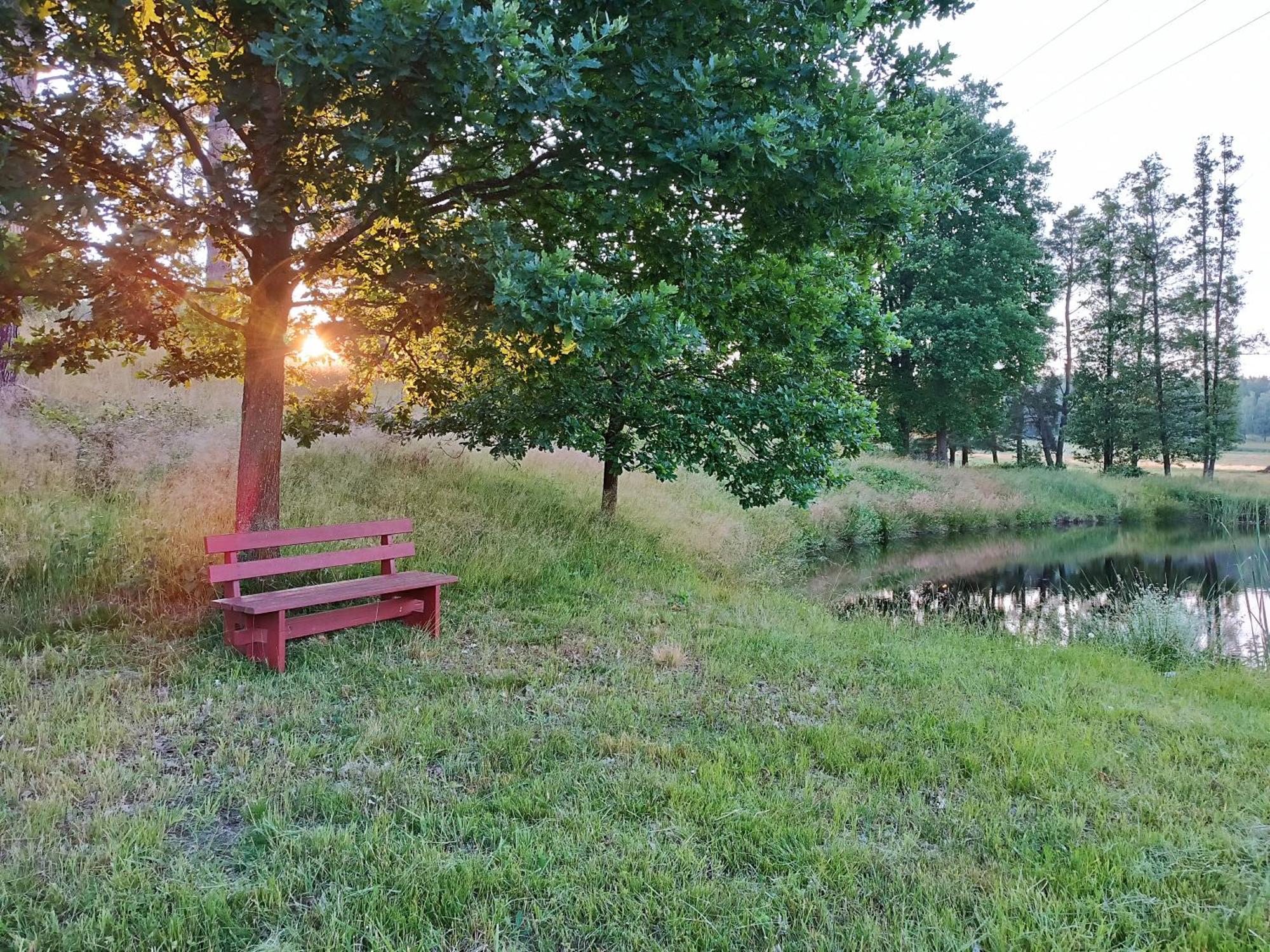 Klidna Lokalita Na Kraji Lesa, Cely Dum S Uschovnu Kol Villa Nová Bystřice Kültér fotó