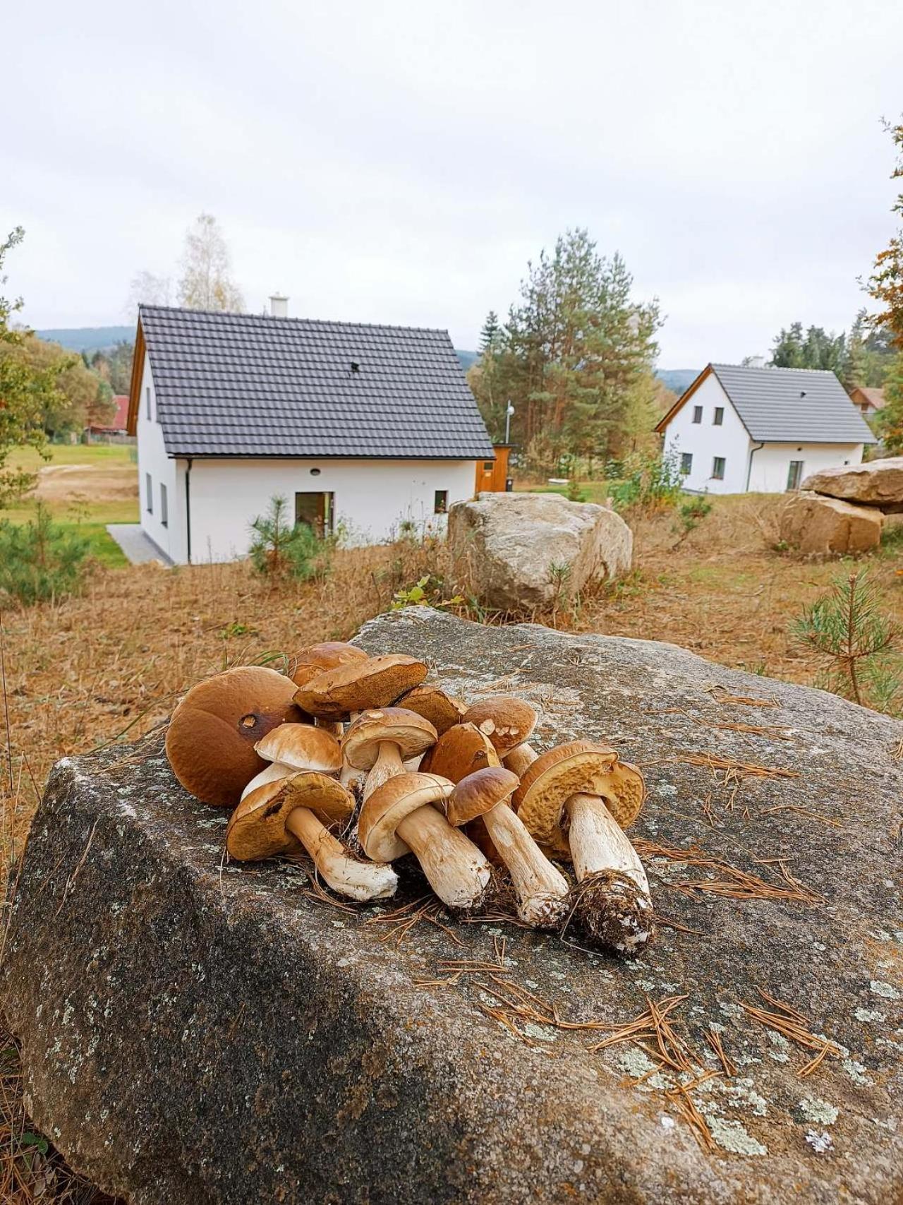 Klidna Lokalita Na Kraji Lesa, Cely Dum S Uschovnu Kol Villa Nová Bystřice Kültér fotó